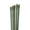 Опора для растений Green Apple GCSP-11-75, зеленый, 75 см, 5 шт Опора для растений Green Apple GCSP-11-75, зеленый, 75 см, 5 шт