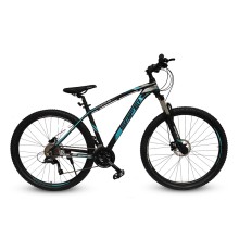 Velosiped Saifei Cretus 29'', göy/qara