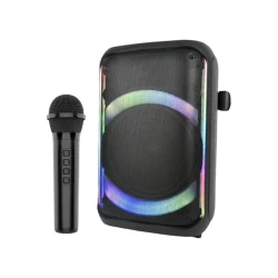 Акустическая система ZQS12136 60W Black