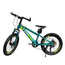 Uşaq velosipedi Chempion 20 B1, yaşıl