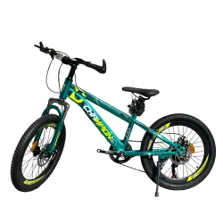 Uşaq velosipedi Chempion 20 B1, yaşıl