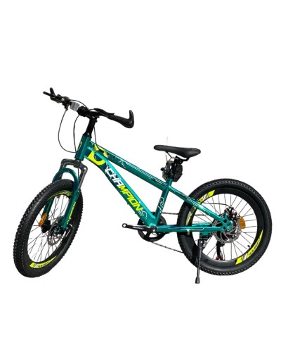 Uşaq velosipedi Chempion 20 B1, yaşıl