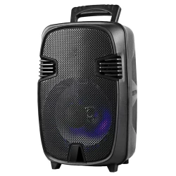 Портативная колонка KTS 1248 Black