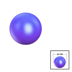 Fitnes topu Gymnic 202022000049, PVC, 65 sm, bənövşəyi