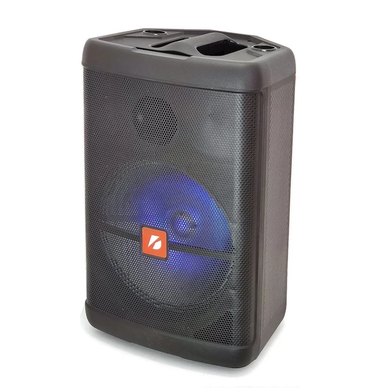 Portativ dinamik KTS KTS-1280