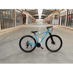 Велосипед GOOSE PREMİUM PRO-29 azr901 голубой