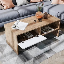 Журнальный стол Ev Plus ev_12116051, ЛДСП, коричневый, белый, 110x50x45 см