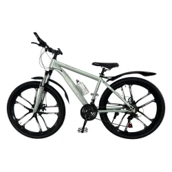 Dağ velosipedi VelooStrim SAAS-6220330, bej, 24