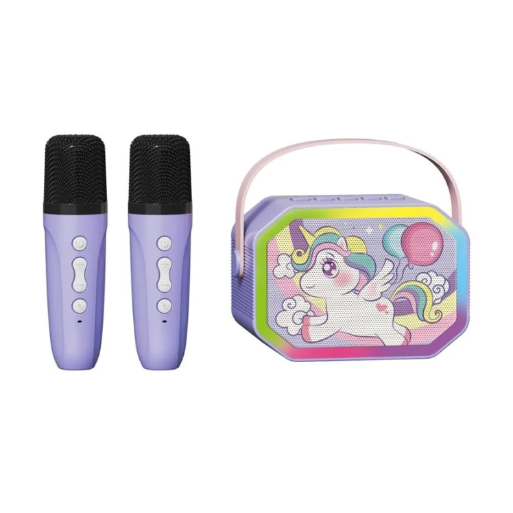 Portativ dinamik Taybuynuz Karaoke Speaker