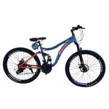 Velosiped vld812, qara/göy