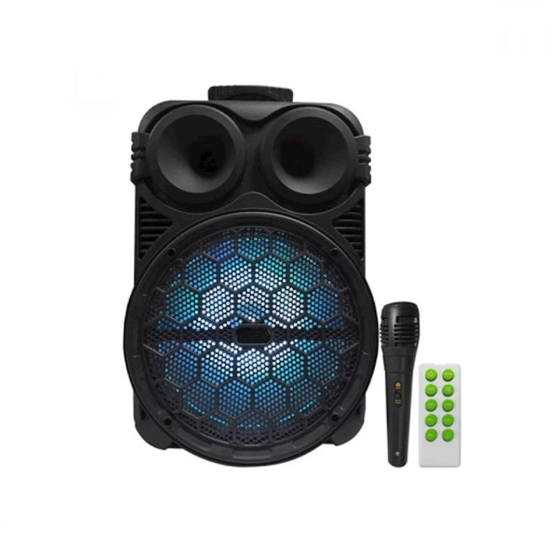 Portativ dinamik KTS KTS-1201