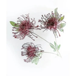 Искусственный цветок Hom-me 102940 Хризантема, 72 см, бордовый