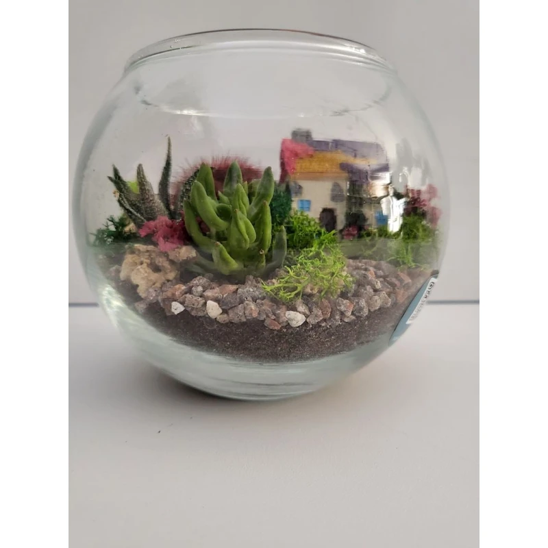 Terrarium, şüşə, şəffaf, 14x14x11 sm Terrarium, şüşə, şəffaf, 14x14x11 sm