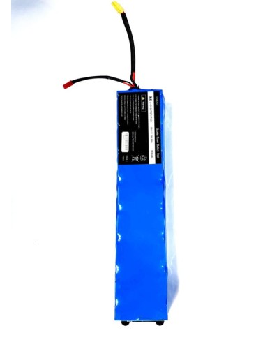 Elektrik skuter akkumulyatoru Naxa8031