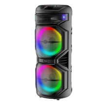 Portativ dinamik TTD-1515