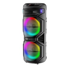 Portativ dinamik TTD-1515
