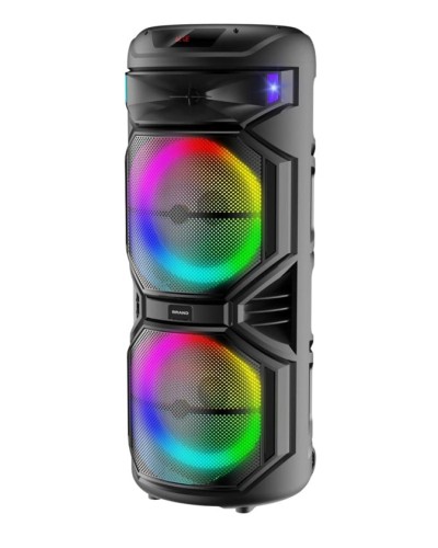 Portativ dinamik TTD-1515