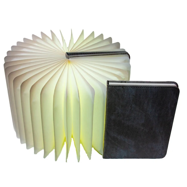 Gecə lampası kitab, boz, 22х16х2 sm