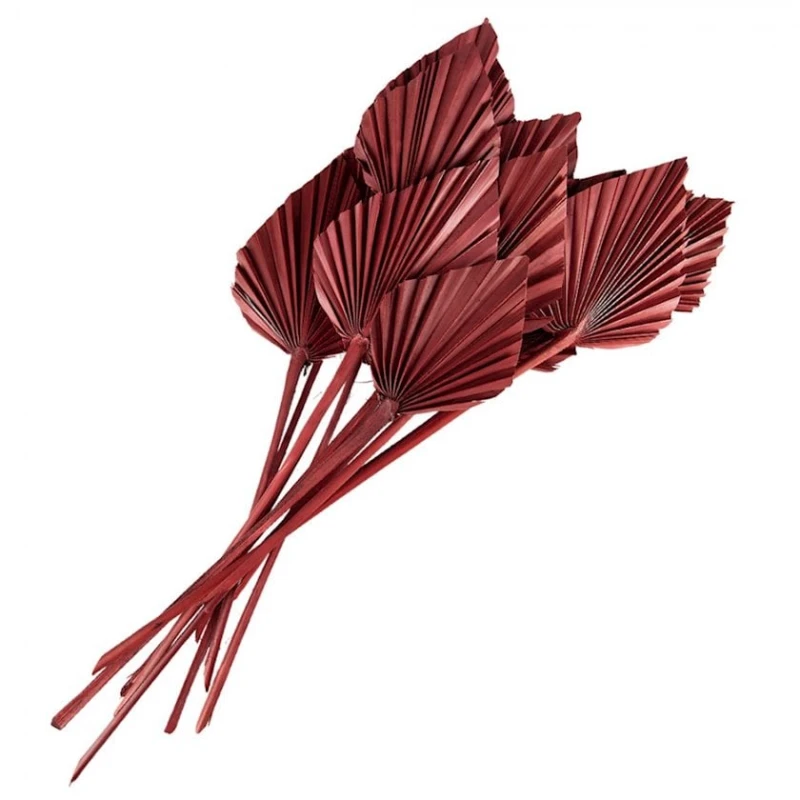 Qurudulmuş çiçəklər Clayre & Eef, 60 sm, çəhrayı Qurudulmuş çiçəklər Clayre & Eef, 60 sm, çəhrayı