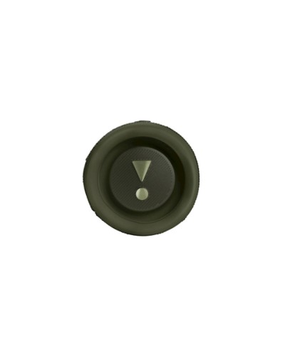 Portativ dinamik JBL Flip 6 Green (05003638438) - 5003638438