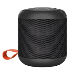 Portativ dinamik Recci RSK-W09 Black