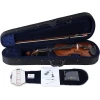Скрипка Amati VG001HPM-4/4 Скрипка Amati VG001HPM-4/4