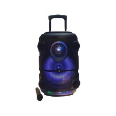 Portativ dinamik KTS 1519 Black