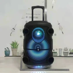 Portativ dinamik KTS 1519 Black