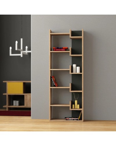 Stellaj Ev Plus ev_13111203, LDSP, antrasit/bej, 1620x250x690 mm