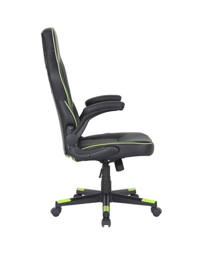 Oyun kreslosu 2E Gaming Hebi Black/Green