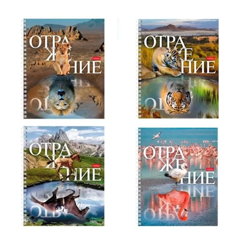 Тетрадь на спирали Hatber Отражение 48T5B1QR, A5, 48 листов, товар в ассортименте Тетрадь на спирали Hatber Отражение 48T5B1QR, A5, 48 листов, товар в ассортименте