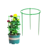 Опора для растений, пластик, зеленая, 17х17 см Опора для растений, пластик, зеленая, 17х17 см