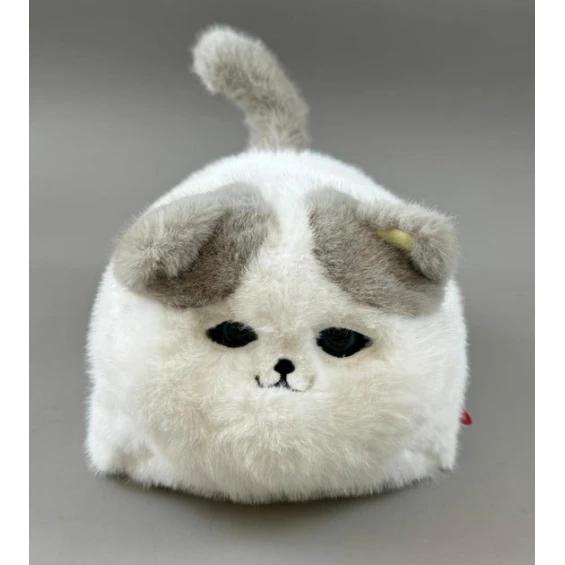 bl335 tombik balaca pisik bl335 tombik balaca pisik