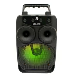 Portativ dinamik KTS KTS-1371