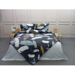 Комплект постельного белья MiraNova DMTZ-070, простыня 160х240 см, пододеяльник 160х220 см, наволочка 50х70 см, односпальный, разноцветный