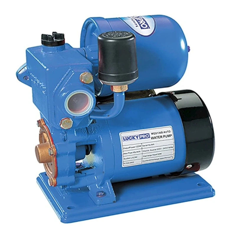 Su nasosu Lucky Pro MQS 136B Su nasosu Lucky Pro MQS 136B