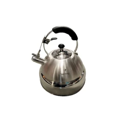 Чайник Berllong BWK-0135, 5 л, серебристый