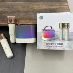 Портативная караоке система с двумя микрофонами T7_002