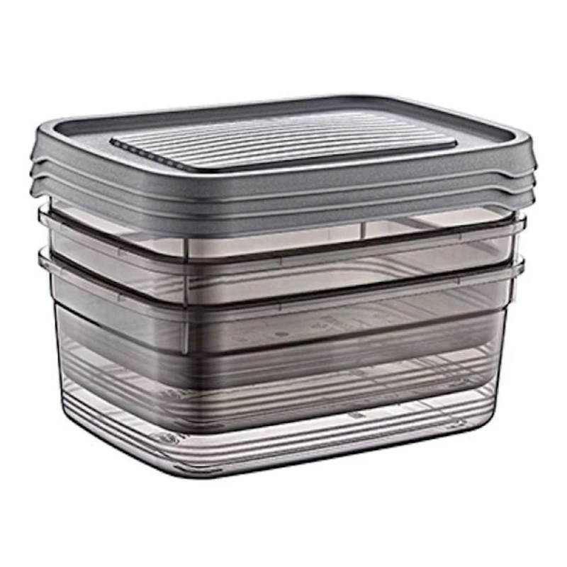 Набор контейнеров для хранения Hobby Life Festiva 21359, пластик, прозрачный/черный, 2.6 л, 17x23x9 см, 3 шт