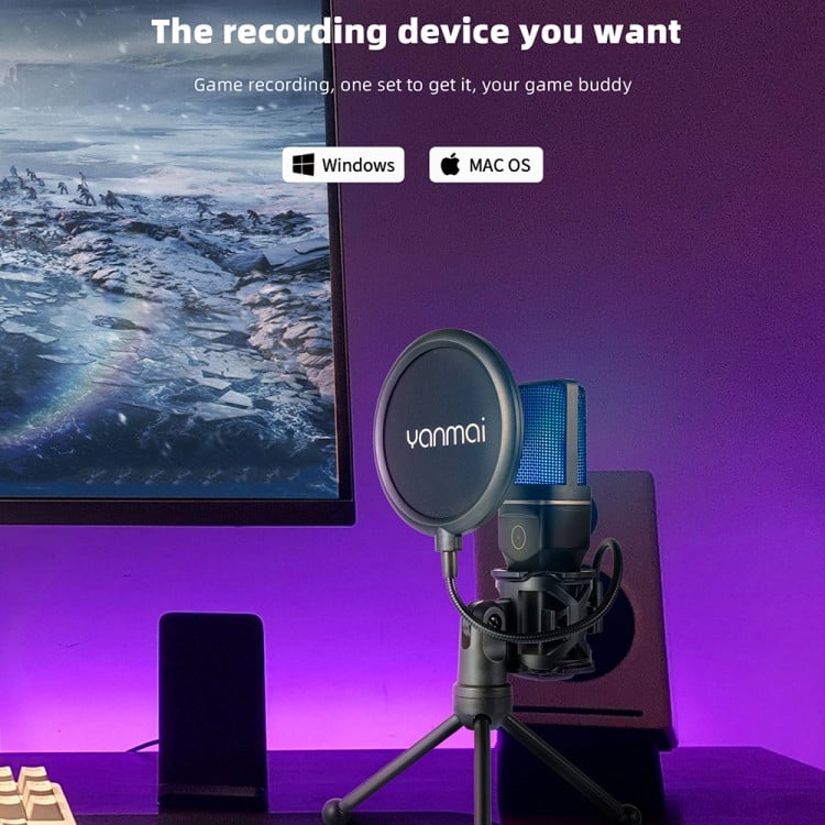 Беспроводной микрофон Yanmai SF-777W