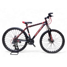 Velosiped Aster 1001485, 29