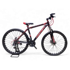 Velosiped Aster 1001485, 29