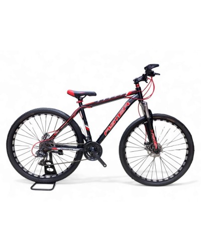Velosiped Aster 1001485, 29