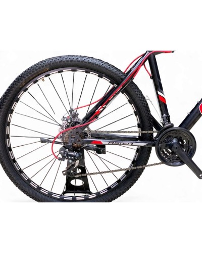 Velosiped Aster 1001485, 29