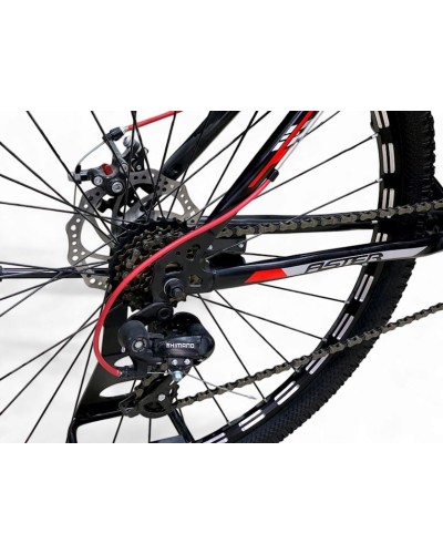 Velosiped Aster 1001485, 29