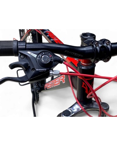 Velosiped Aster 1001485, 29