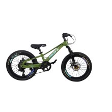 Uşaq velosipedi GTR025, 20