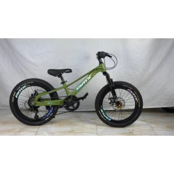 Uşaq velosipedi GTR025, 20