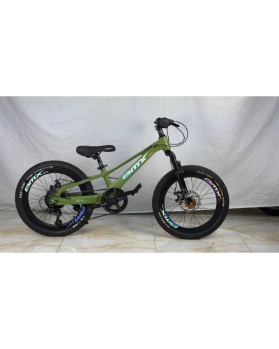 Uşaq velosipedi GTR025, 20