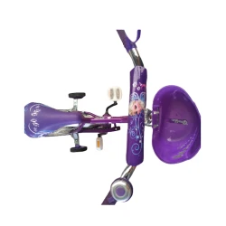 İkitəkərli uşaq velosipedi Salute, 12